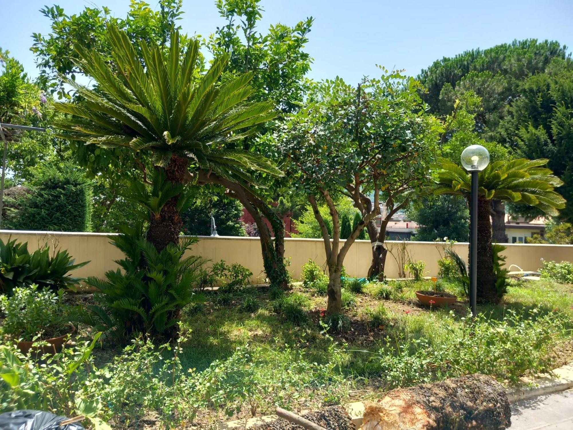 Villa Maria Cristina D'Amico Cava deʼ Tirreni Eksteriør billede